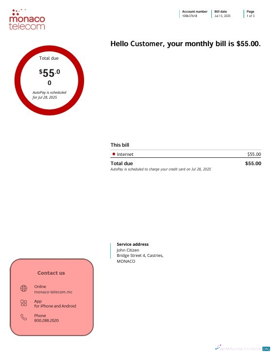 download download Monaco telecom internet utility bill, 3 pages